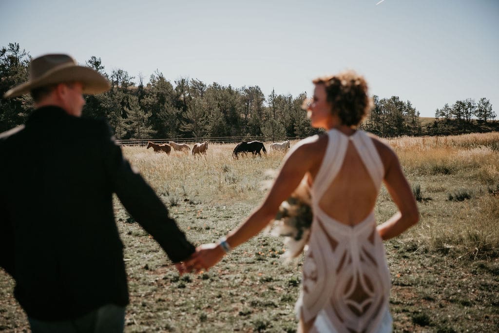 Bride and groom standing arm in arm surrounded by cattle and horses.